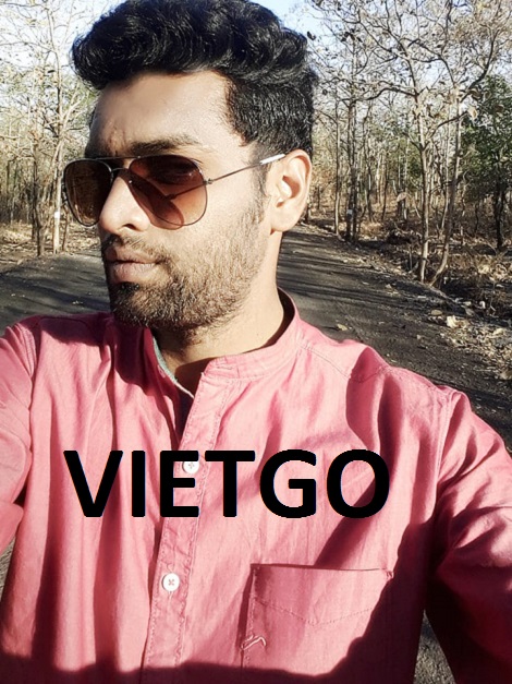 Gỗ thông xẻ Vietgo